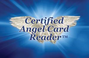 Cerfified Angel Card Reader Cerfified Angel Card Reader