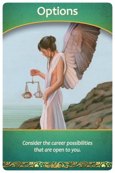 選択肢／Options　ライフパーパスオラクルカードより