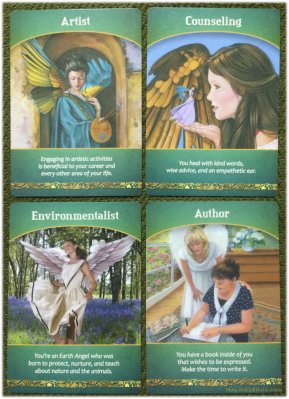 Artist / Counselling / Environmentalist / Author ~ Life Purpose Oracle Cards