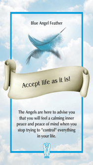Accept life as it is! from the Angel Feather Oracle