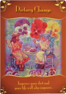 食事を変える　〜マジカルフェアリーオラクルカード