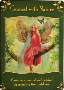 Connect with Nature from the Magical Messages from the Fairies