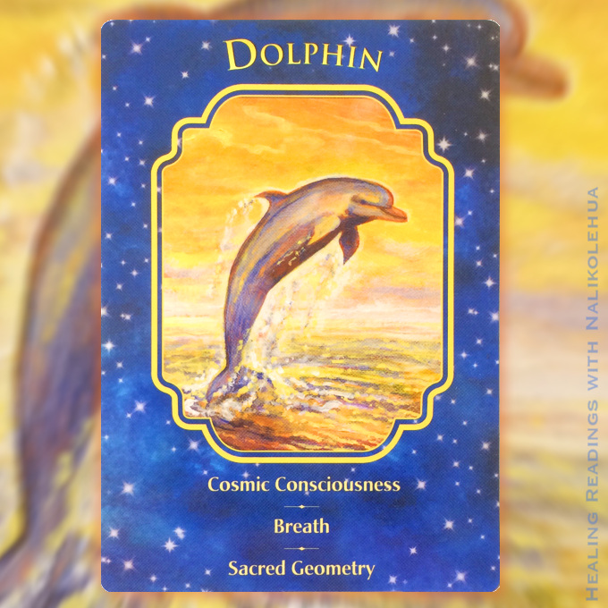 《イルカ/Dolphin》 エンジェルドリームオラクルカード
