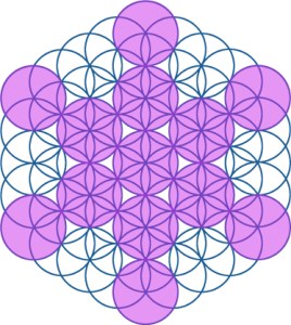 Fruit of Life in Flower of Life