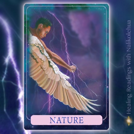 Nature from Indigo Angel Oracle Cards