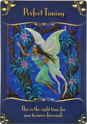 Perfect Timing from the Magical Messages from the Fairies Oracle Cards