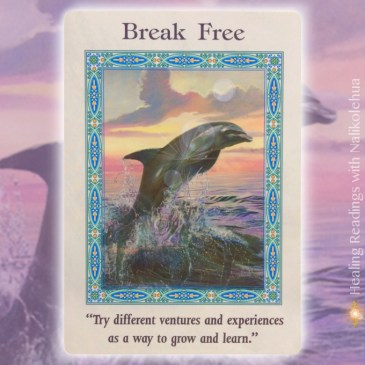 Break Free of the magical mermaids and dolphins oracle cards