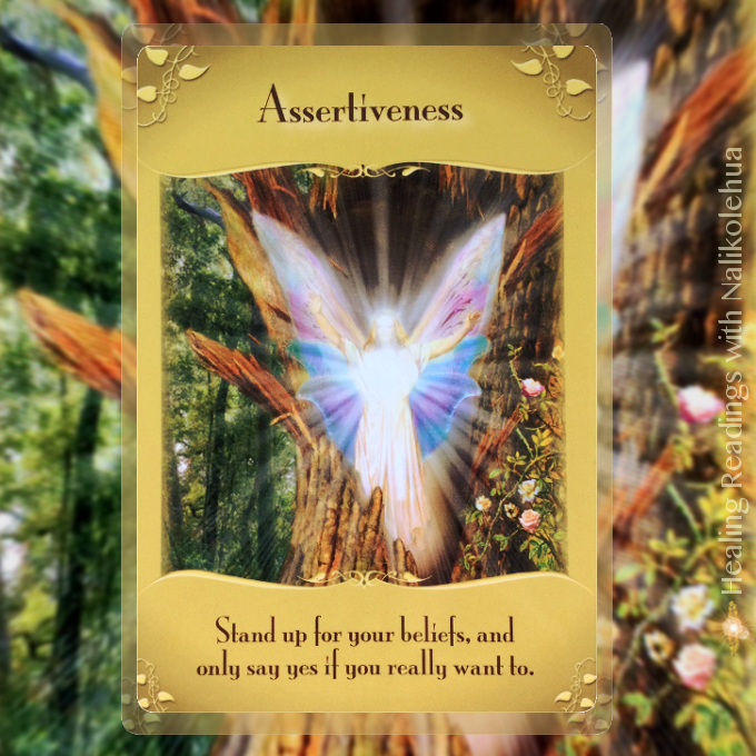 Assertiveness from the Magical Messaged from the Fairies Oracle Cards: Stand up for your beliefs, and only say yes if you really want to.