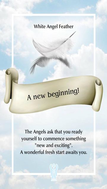 A new beginning from the Angel Feather Oracle