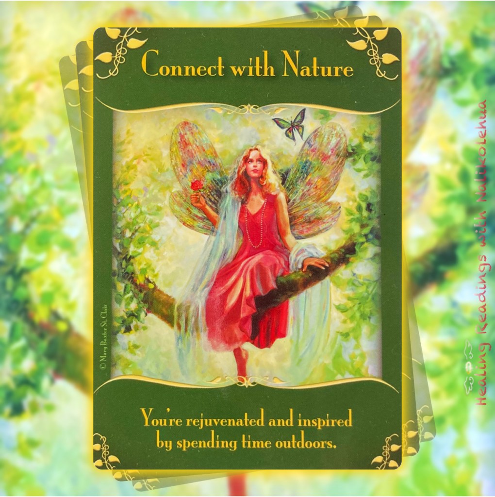 《Connect with Nature／自然と繋がる》〜マジカルフェアリーオラクルカード より