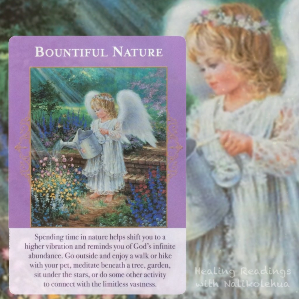 Bountiful Nature from the Angels of Abundance Oracle Cards
