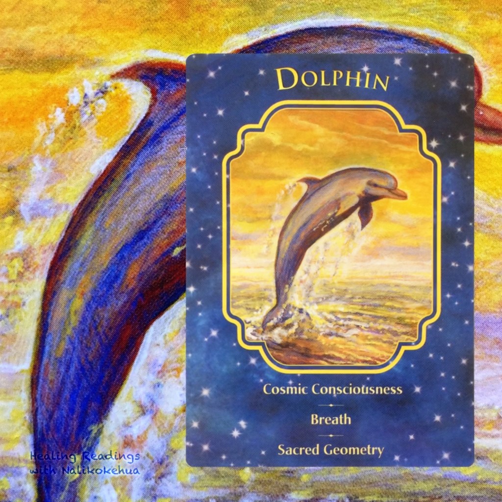 Dolphin from Angel Dreams oracle cards